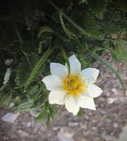 IMG_0296.jpeg