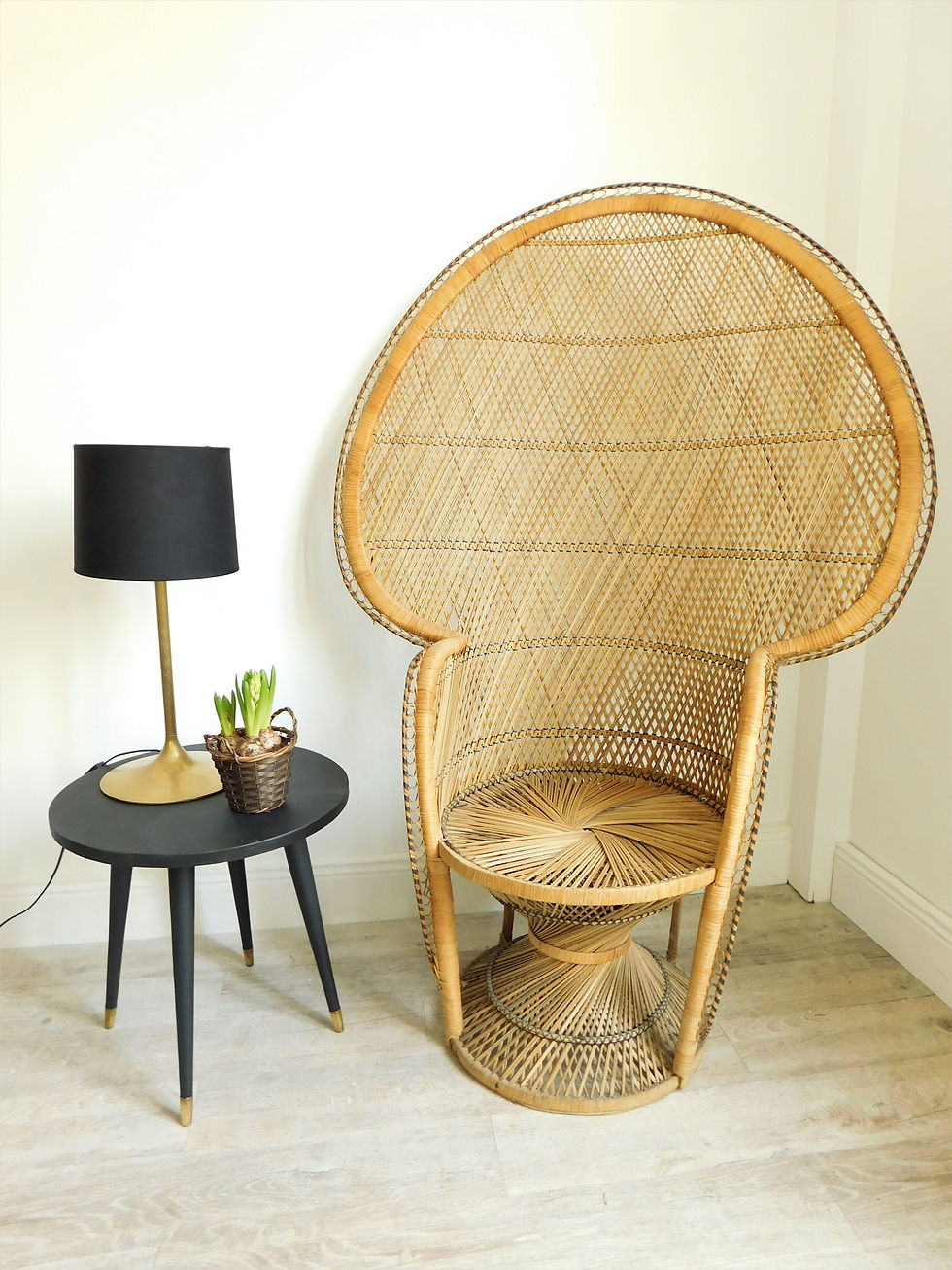 Miniature : Fauteuil Emmanuelle années 70