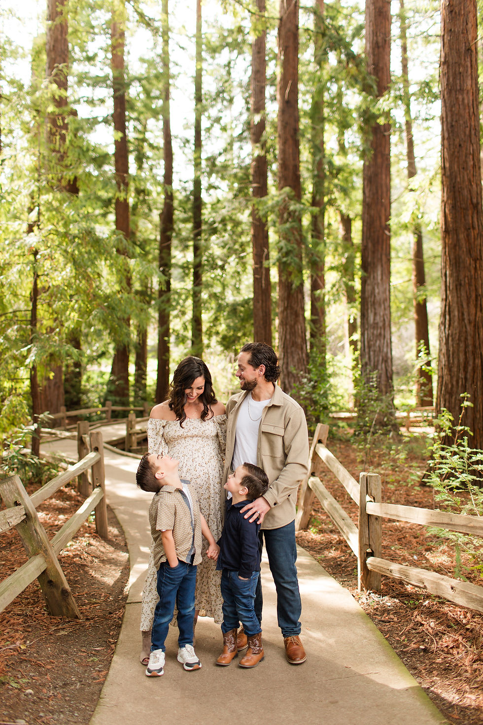 Family of four stands on a forest boardwalk, smiling and looking at each other among tall redwoods. Winter Family Maternity Photoshoot at Redwood Grove Nature Preserve, Los Altos by Bay Area Photographers HKCreate
