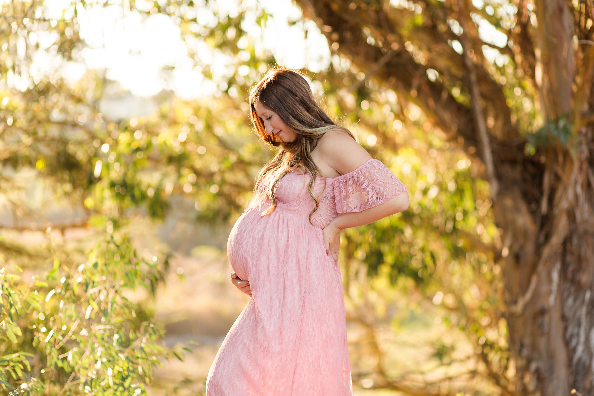 hkcreate bay area photography joyful light and airy natural bridges santa cruz beach maternity session pink lace dress trees golden hour