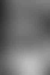 hkcreate bay area photography sanborn county park saratoga california san jose photographers wedding photography forest romantic cute couple intimate forest vow renewal light and airy photography joyful sweet bride groom ceremony