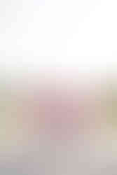 santa clara university california group grad photo session walking near mission at scu campus