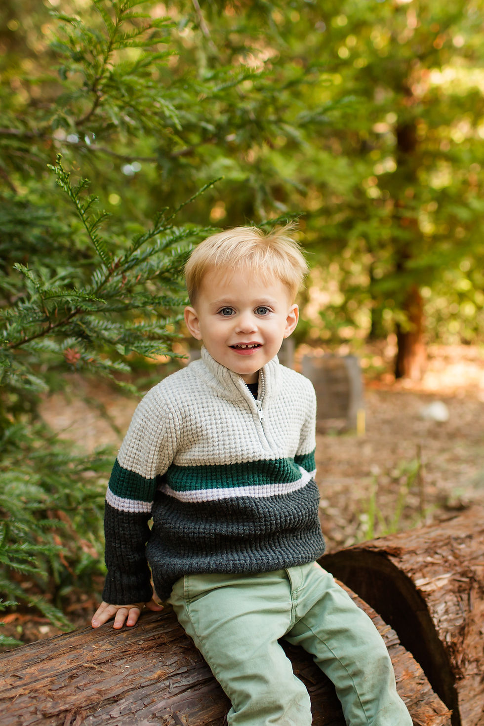 Young child in a striped sweater and green pants smiles while sitting on a log in a lush forest, with sunlight filtering through trees.
Winter Family Session at Redwood Grove Nature Preserve in Los Altos by Bay Area Photographers HKCreate