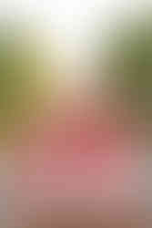 hkcreate bay area photography san jose photographers northern california santa clara university graduation group photos friends sorority sisters photoshoot college fun laughter white dresses joyful candid light and airy photography holding sign in front of fountain