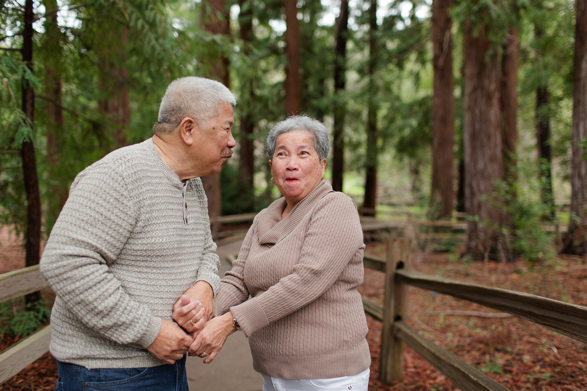 hkcreate bay area photography joyful light and airy san jose photographers northern california photoshoot legacy extended family neutral outfit ideas sweaters winter forest redwood grove nature preserve los altos grandparents laughing playful