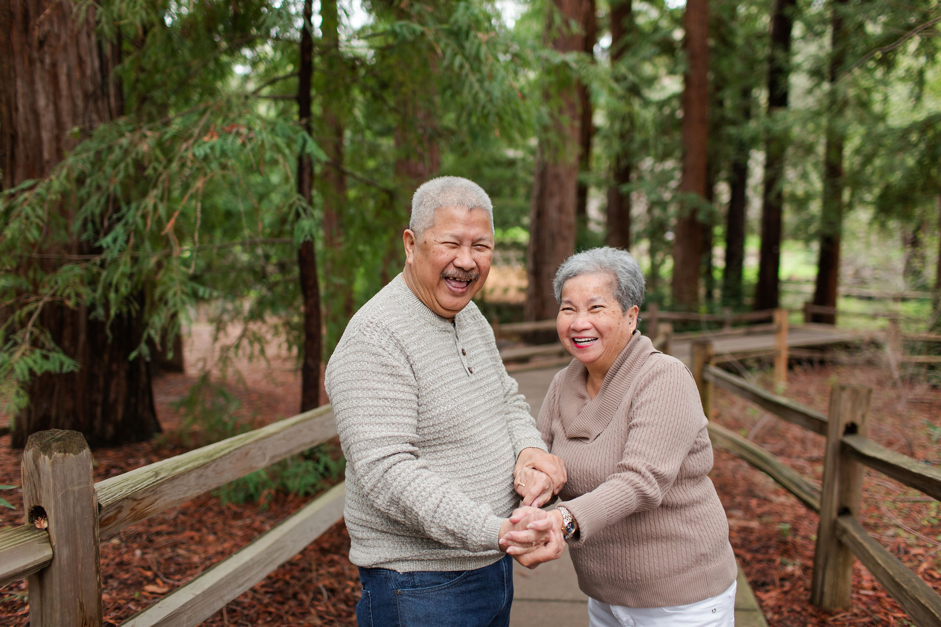 hkcreate bay area photography joyful light and airy san jose photographers northern california photoshoot legacy extended family neutral outfit ideas sweaters winter forest redwood grove nature preserve los altos grandparents fun playful laughing