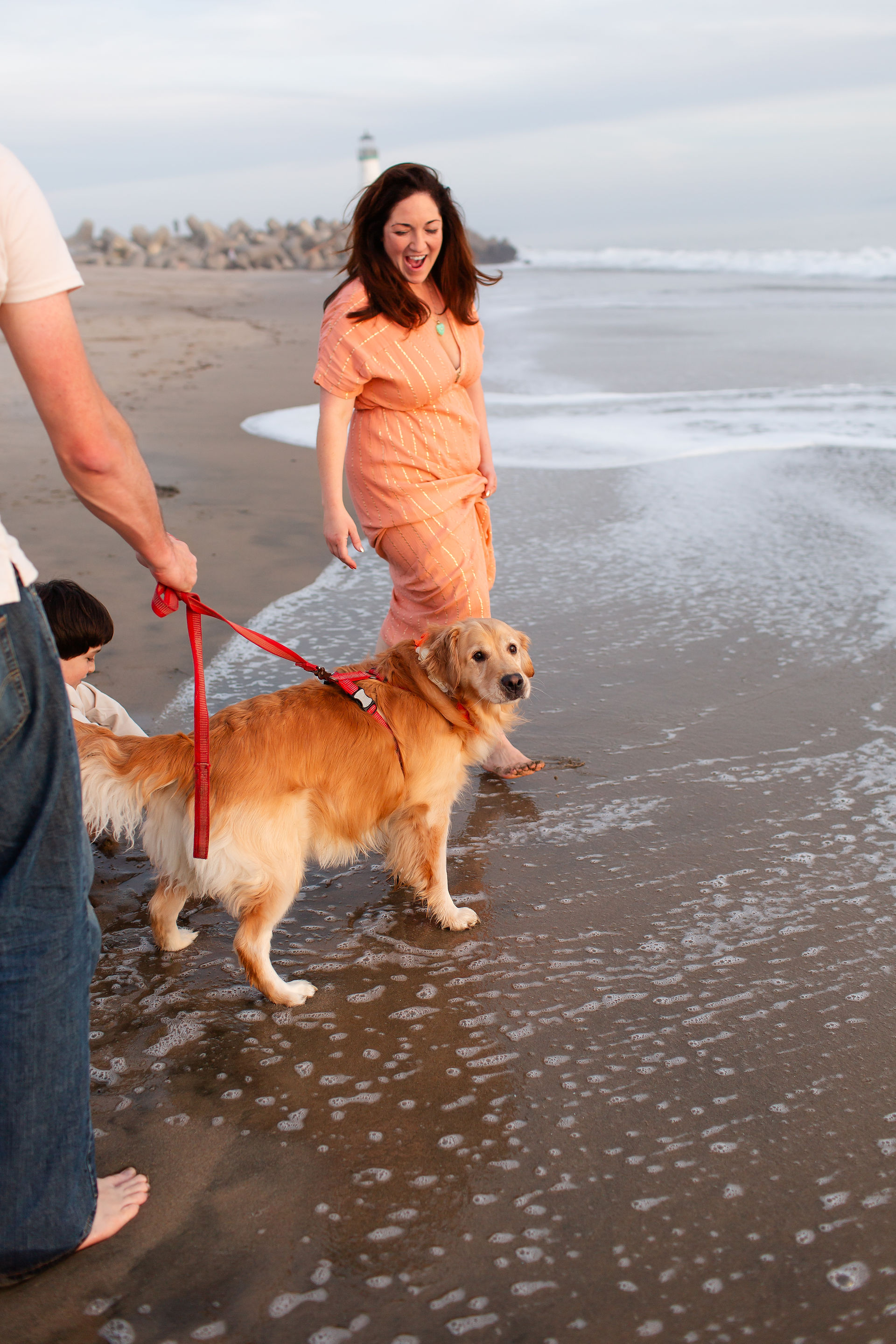 Cute golden retriever on the beach. HKCreate Bay Area Photographers Beach Family Photoshoot at Seabright Beach in Santa Cruz, the Bay Area.