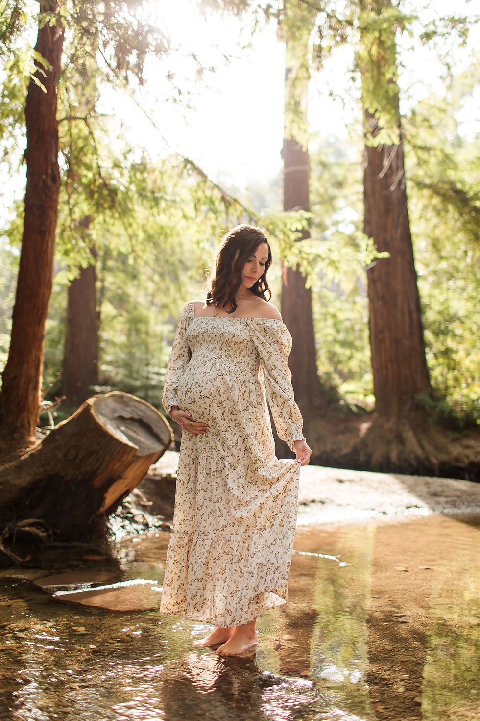 Pregnant woman in a floral dress stands barefoot in a sunlit forest creek, gently holding her dress hem. Winter Family Maternity Photoshoot at Redwood Grove Nature Preserve, Los Altos by Bay Area Photographers HKCreate