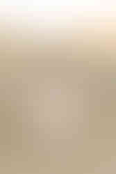 hkcreate hk create bay area photographers photography san jose guadalupe oak grove park holiday family session family of four sisters pink burgundy cream color scheme joyful light and airy sweet