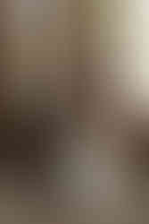 hkcreate bay area photography sanborn county park saratoga california san jose photographers wedding photography forest romantic cute couple intimate forest vow renewal light and airy photography joyful sweet bride groom ceremony