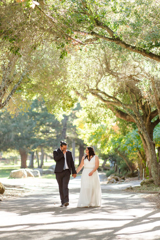 hkcreate bay area photography sanborn county park saratoga california san jose photographers wedding photography forest romantic cute couple intimate forest vow renewal light and airy photography joyful sweet bride groom couple portraits fall wedding