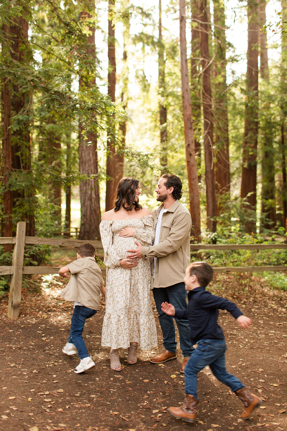 Pregnant couple smiling in a sunlit forest, father holding her belly while two young boys run past a wooden fence. Winter Family Maternity Photoshoot at Redwood Grove Nature Preserve, Los Altos by Bay Area Photographers HKCreate