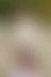 Summer Outdoor Newborn Photoshoot at Vasona Lake Park, Los Gatos by HKCreate Bay Area Photographers