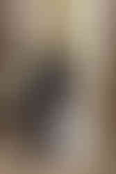 hkcreate bay area photography sanborn county park saratoga california san jose photographers wedding photography forest romantic cute couple intimate forest vow renewal light and airy photography joyful sweet bride groom ceremony