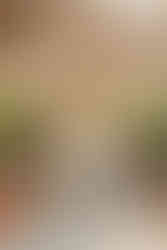 hkcreate bay area photography san jose photographers northern california santa clara university graduation group photos friends sorority sisters photoshoot college fun laughter white dresses joyful candid light and airy photography rose garden