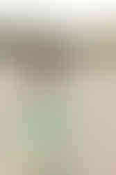 Natural Bridges State Beach, Santa Cruz Family of three photoshoot by HKCreate Bay Area Photographers