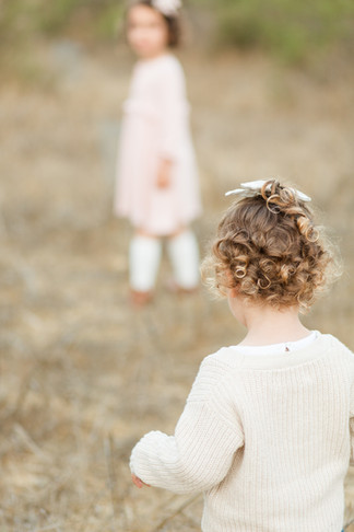 hkcreate hk create bay area photographers photography san jose guadalupe oak grove park holiday family session family of four sisters pink burgundy cream color scheme joyful light and airy sweet