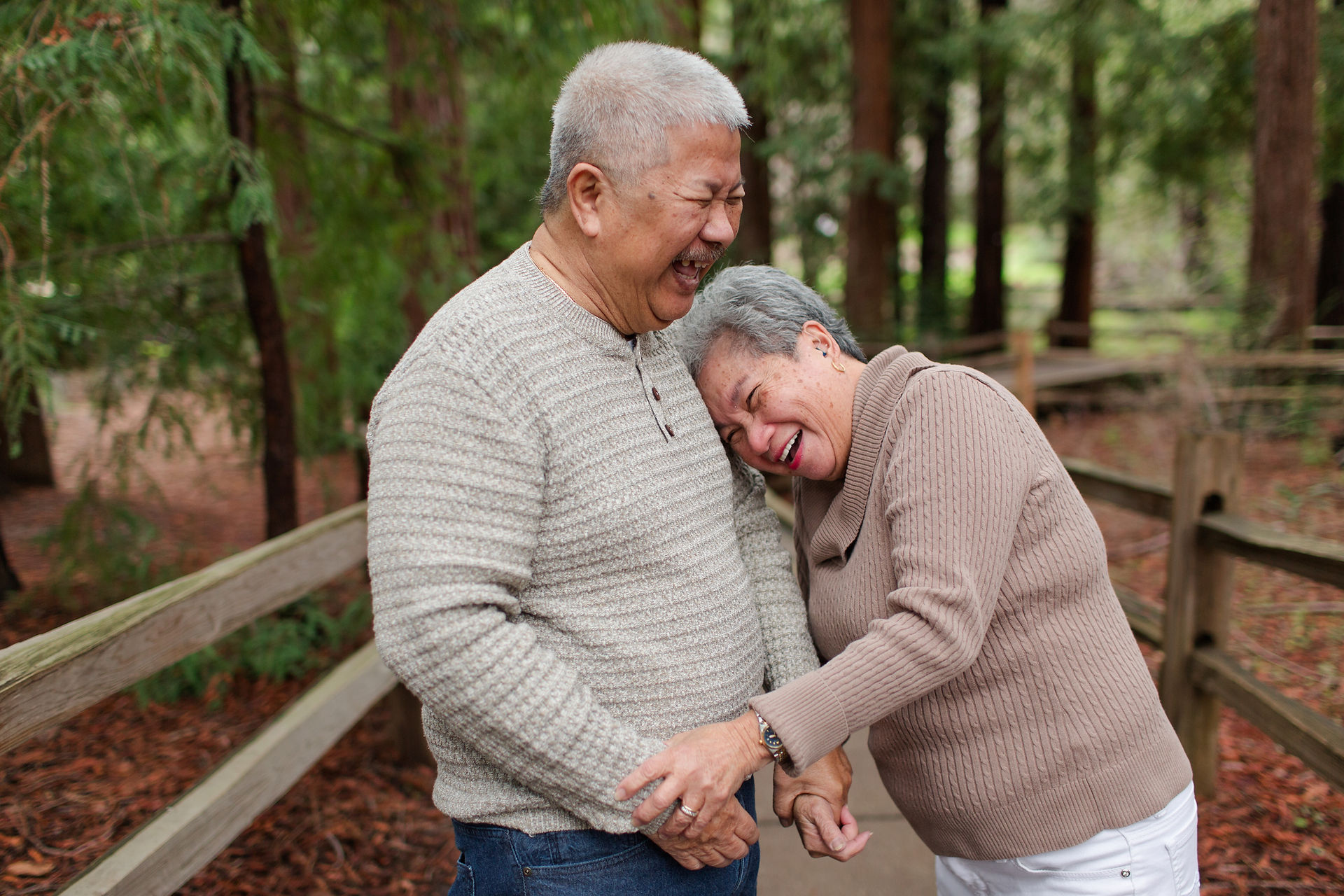 hkcreate bay area photography joyful light and airy san jose photographers northern california photoshoot legacy extended family neutral outfit ideas sweaters winter forest redwood grove nature preserve los altos grandparents playful laughing