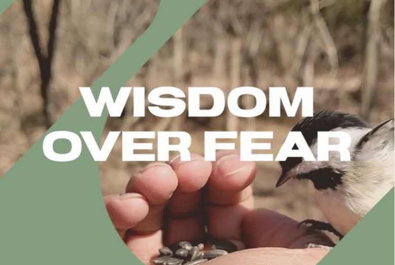 Sweet whispers of wisdom over fear is all I have been hearing the last few months. 'Fear not,' is in the Bible 365 times. A sweet reminder for each day that HE has us.