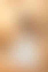 hkcreate bay area family photographers san jose northern california family of four green neutral color scheme happy playful joyful light and airy byxbee park palo alto fall session