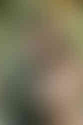 hkcreate hk create bay area photographer photography family session mini fall arizona cactus garden black green blue tan cream color scheme joyful light and airy family of four