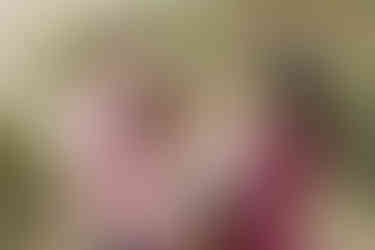 hkcreate hk create bay area photographers photography san jose guadalupe oak grove park holiday family session family of four sisters pink burgundy cream color scheme joyful light and airy sweet