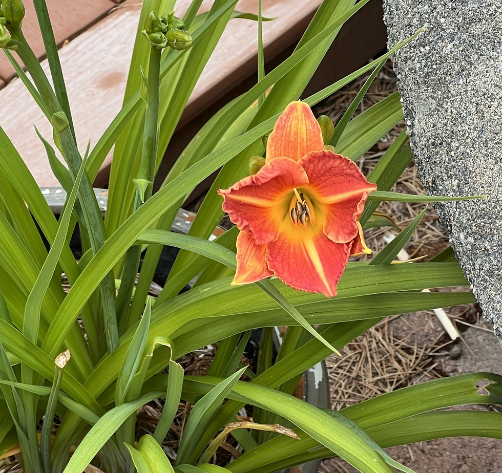 June 2026 Newsletter