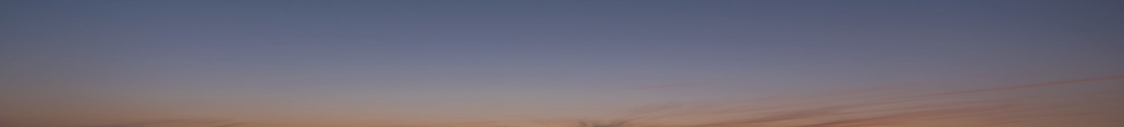 banner-freebirds2.jpg