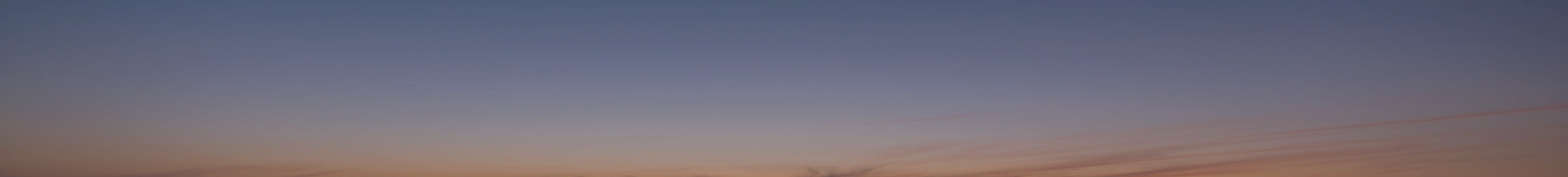 banner-freebirds2.jpg
