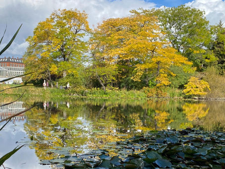 To Use a Recruitment Agency or Not to Use a Recruitment Agency... THAT is the Question