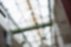 Portrait_Ricardo_Hintergrund_3.jpg