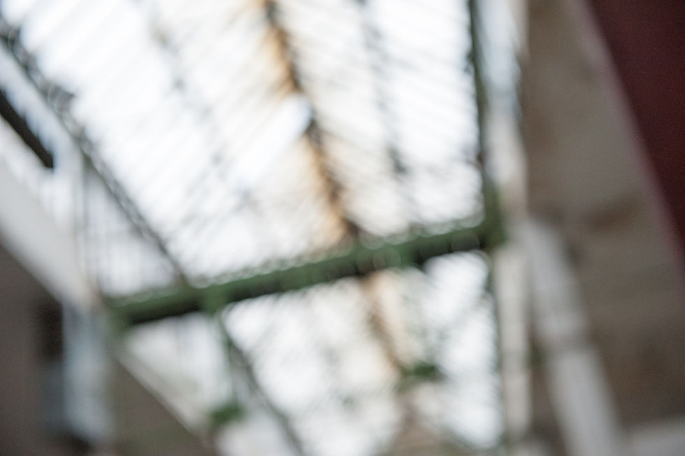 Portrait_Ricardo_Hintergrund_3.jpg