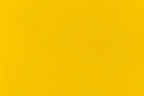 Canary