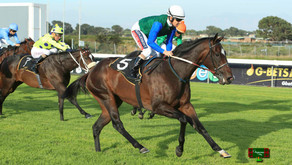 RUN FOX RUN UNBEATEN OVER 3 STARTS