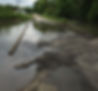 Spring River bridge in Lawrence County, Missouri
