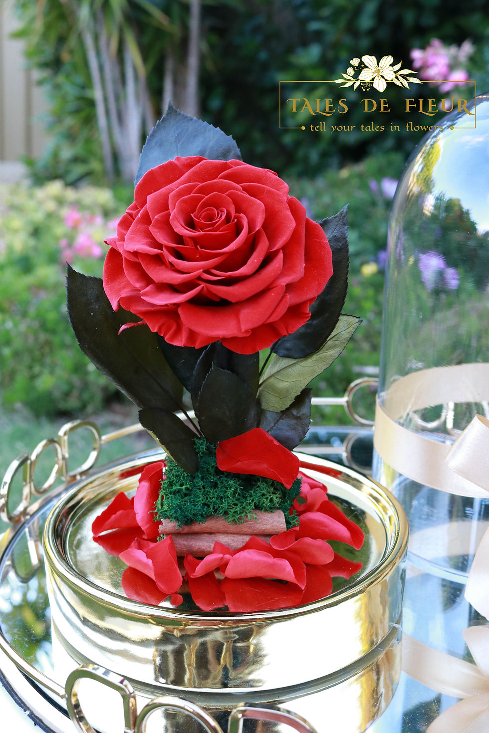 Thumbnail: "The Enchanted"_ Preserved Rose in Glass Dome