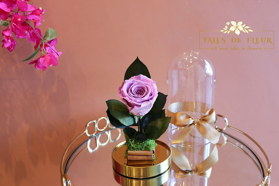Thumbnail: "Enchanted Rose Dome"_ Preserved Rose Lilac colour