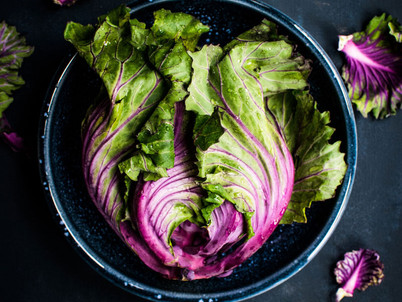 FOOD AS MEDICINE - Nutrigenomics, phytonutrients & plants