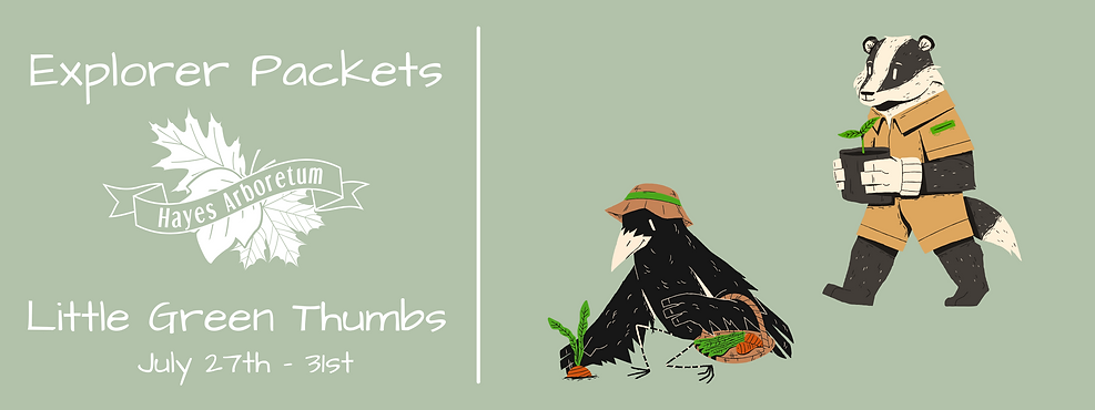 Explorer Packet Website Designs (8).png