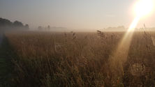 The golden August sun rising over a hay field, caught through the lense of a large spider web.