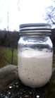 A glass jar with a metal lid, with bubbling sourdough starter inside.