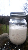 A glass jar with a metal lid, with bubbling sourdough starter inside.