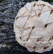 A fat-latticed pie, with craggly tree bark as the background.
