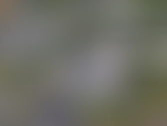 Aeroporto de Bruxelas investe 100 milhões de euros em logística