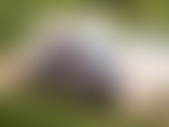 Mitsubishi Cup: Ingo Hoffmann e Paulão Gomes vão reviver antigos duelos, só que desta vez na terra