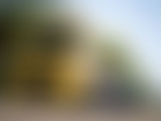 Diante da alta do diesel, CNT defende repasse imediato dos novos custos para o valor dos fretes