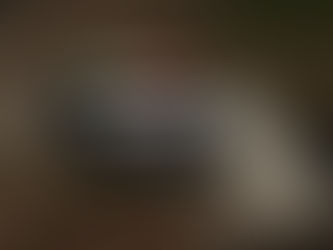 Sertões conhece vencedores e tem domingo de consagração na praia