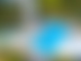 Turismo: Fazzenda Park anuncia maior piscina aquecida ao ar livre do sul do país