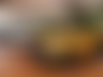 Expressas: Ford cresce acima do mercado no Brasil em 2025 e prepara ofensiva de 20 lançamentos para os próximos dois anos