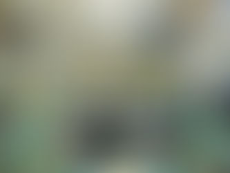 Planta da Toyota em Porto Feliz vai exportar motores para a América do Norte  